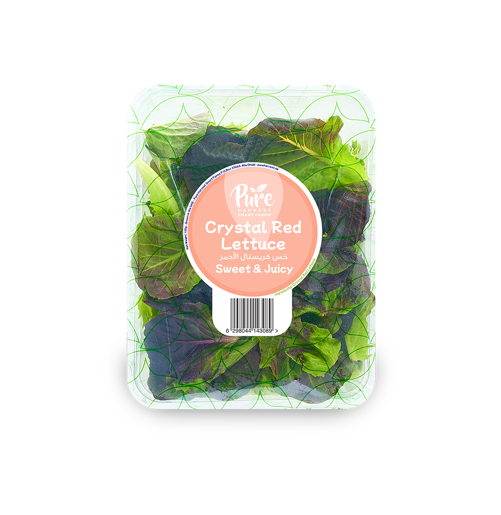 Crystal Red Lettuce
